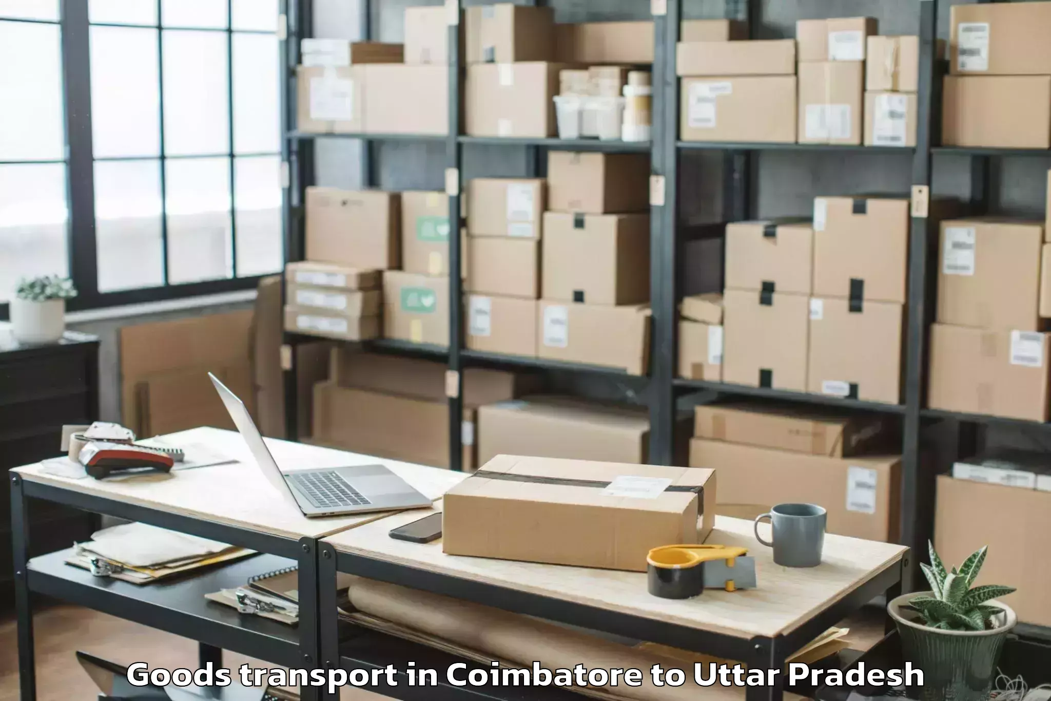 Top Coimbatore to Maharishi University Lucknow Goods Transport Available